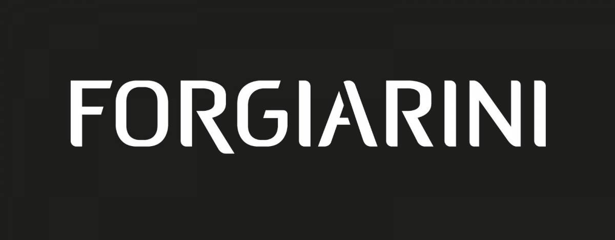 E2E5C652 A560 46FF B9F8 4B2D4A5D028C_PAGE_LOGO | Emotion paysage Forgiarini Sainte-Marie-aux-Mines