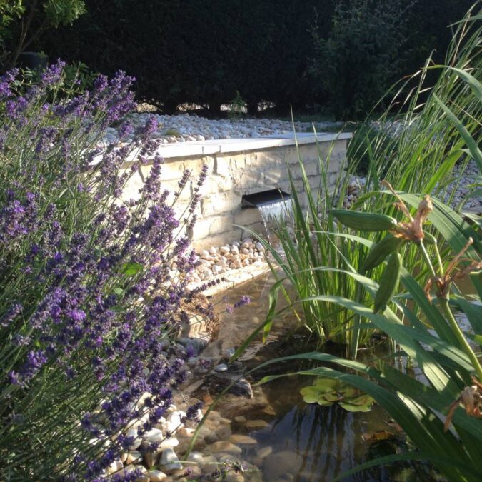 IMG_0583 675X675 | Emotion paysage L’eau: piscine et bassin Obernai 59