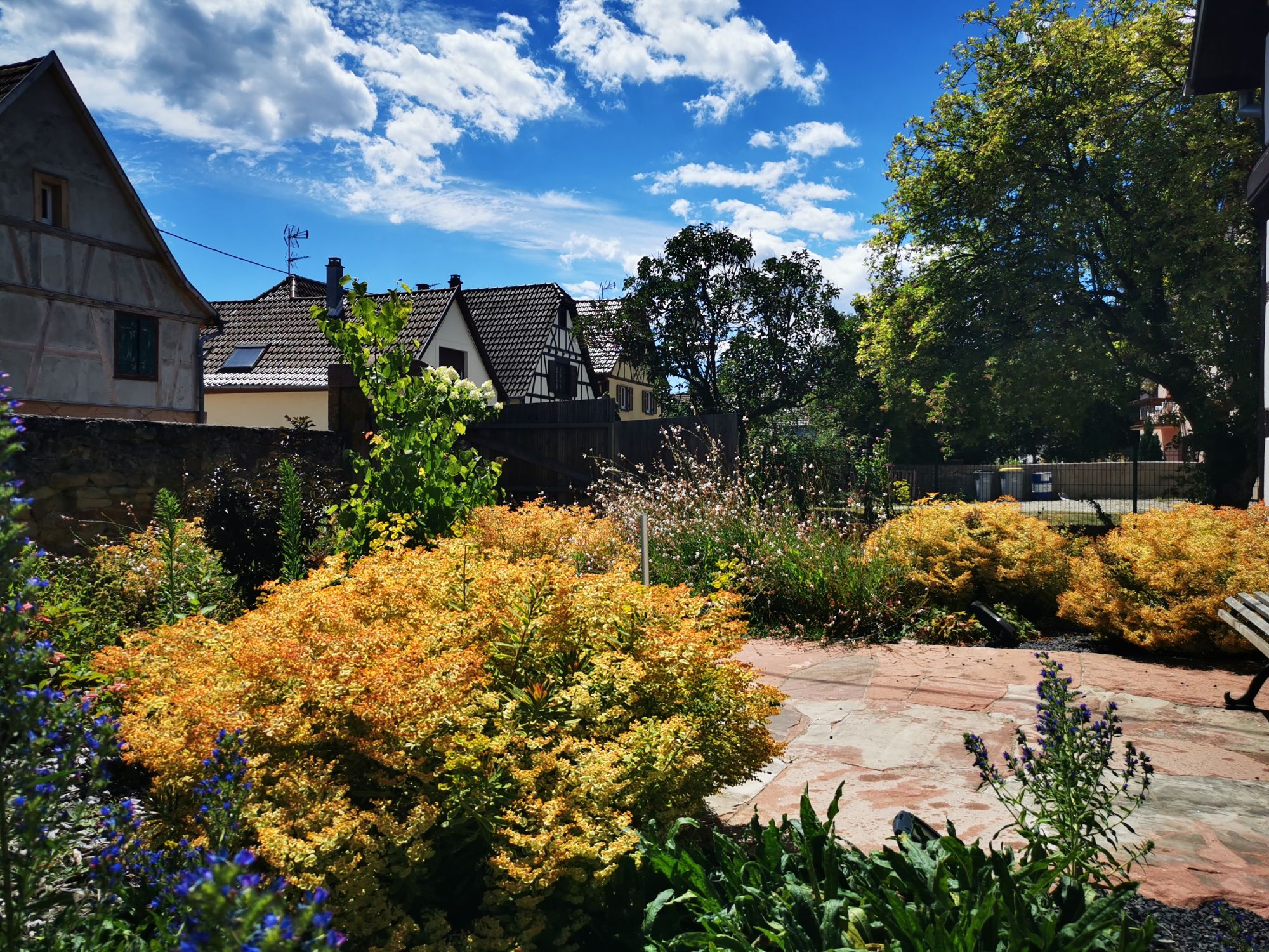 Quelles sont les dernières tendances en matière de création de jardins paysagers ? Ribeauville
