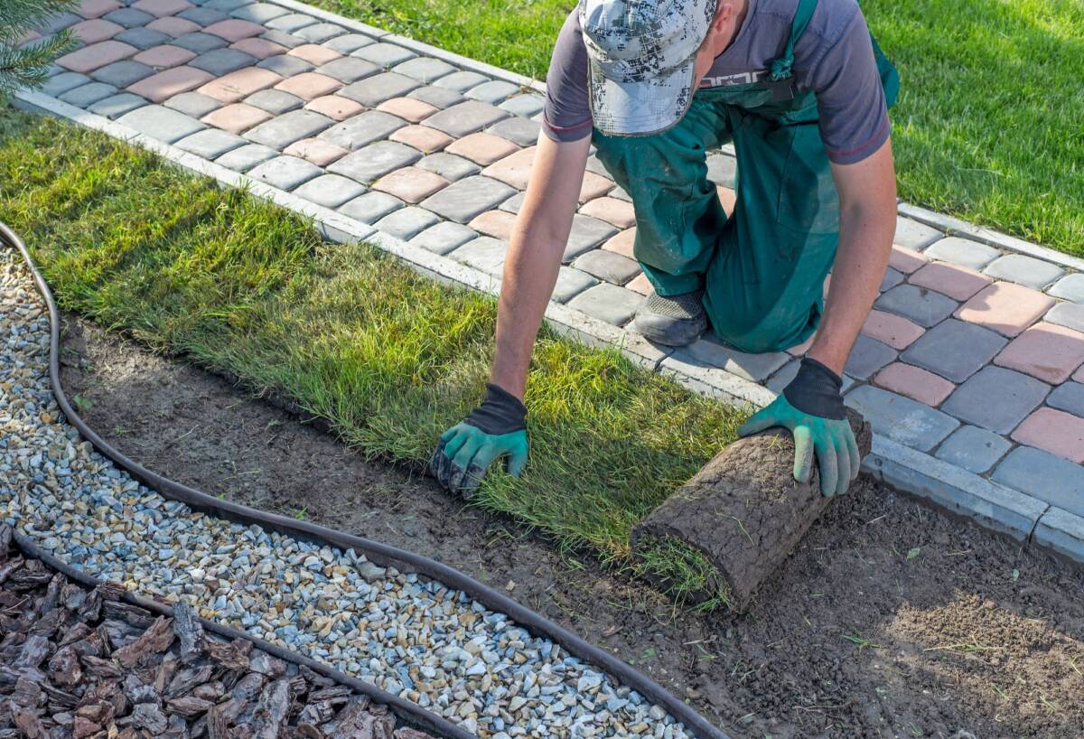 Quelles sont les bonnes raisons de faire appel à un paysagiste professionnel ? Fegersheim