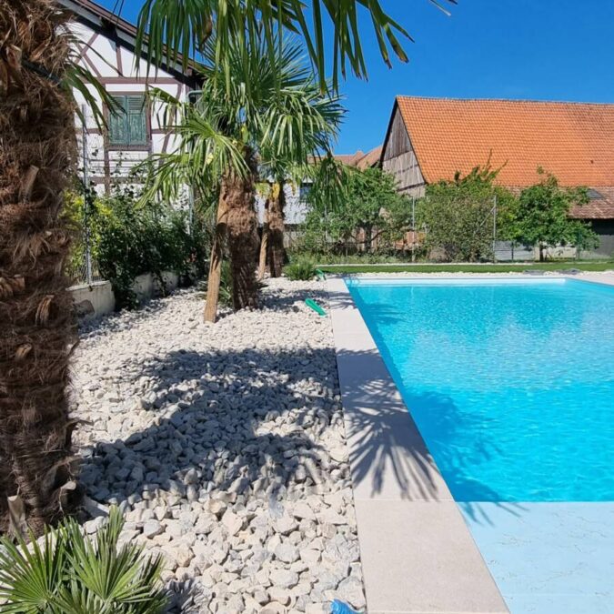 20220514_111545 675X675 | Emotion paysage L’eau: piscine et bassin Wintzenheim 17