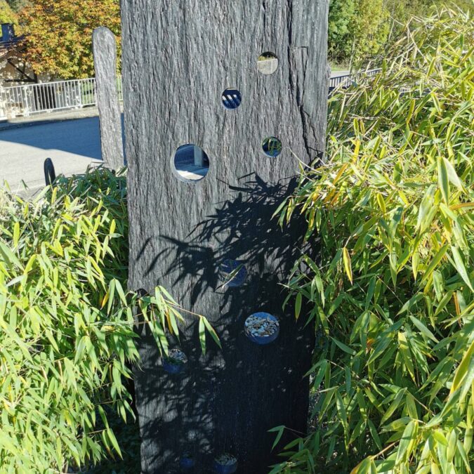 IMG_20191026_105822 675X675 | Emotion paysage Conception de votre futur jardin paysager Fegersheim 2