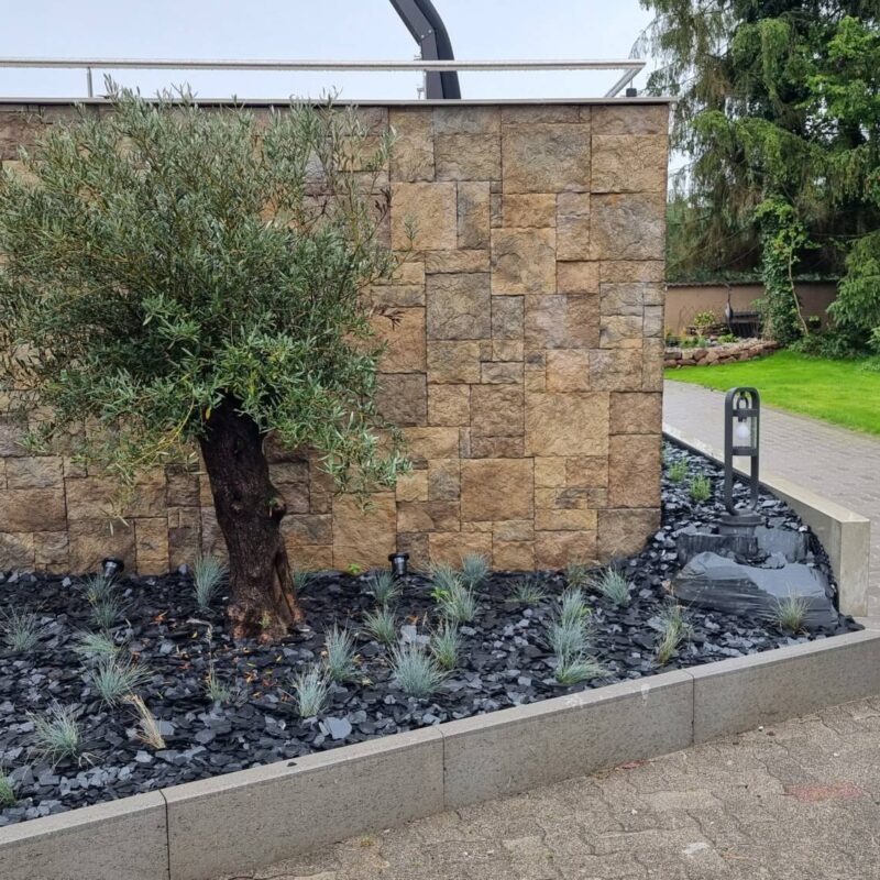 EMOTIONS PAYSAGE01 800X800 | Emotion paysage Aménagement de votre jardin : des experts paysagistes à votre écoute Obernai 3