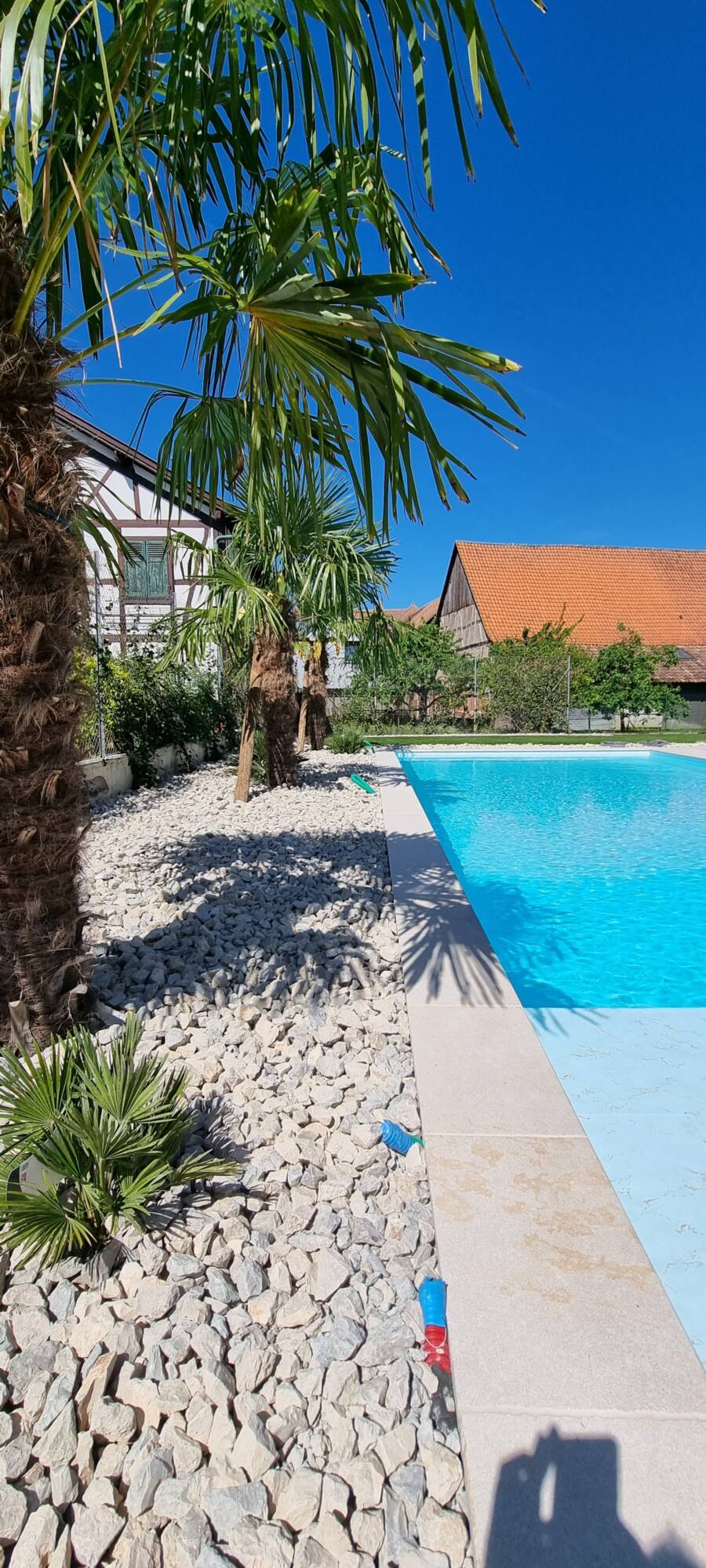 Piscine en béton sur mesure : comment intégrer des fonctionnalités modernes comme le débordement ou le miroir d&#8217;eau ? Geispolsheim